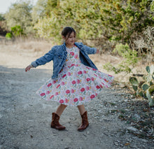 Load image into Gallery viewer, Spring Secret Garden Twirl Dress